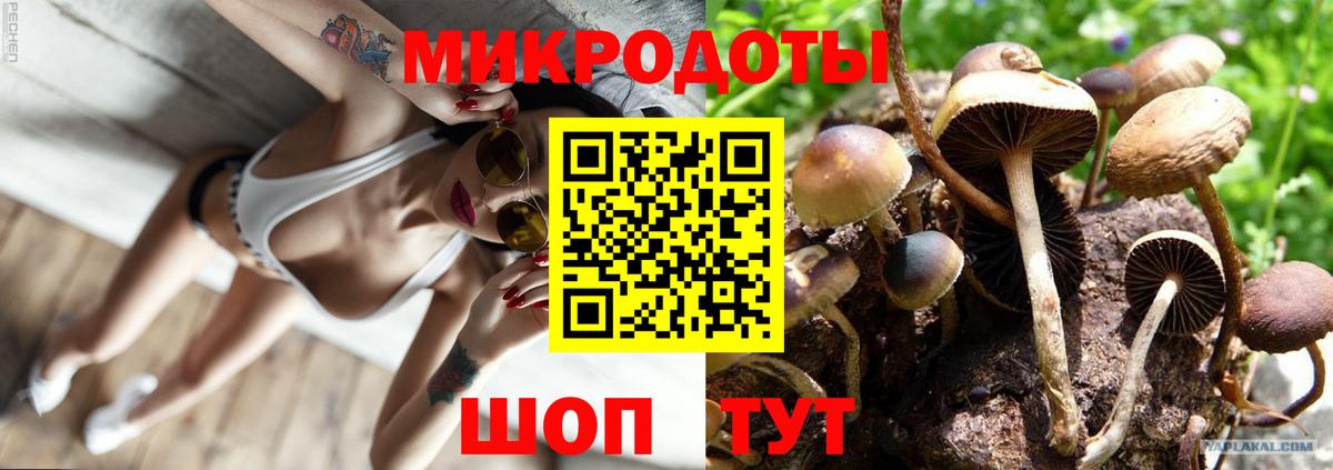 Псилоцибиновые грибы ЛСД  Вход с VPN  Галлюциногенные грибы Psilocybe  Кстово 